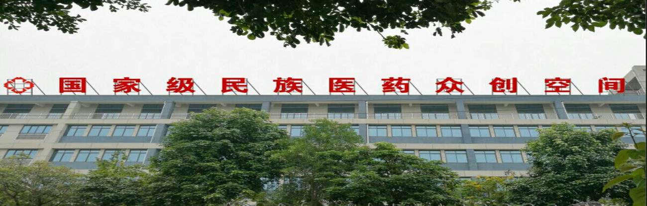 广西南宁市国科医药研究院有限公司-又一个国家级民族医药众创空间站点